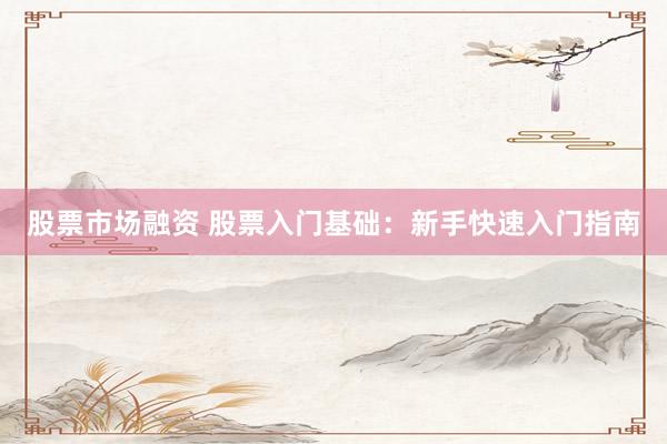 股票市场融资 股票入门基础：新手快速入门指南