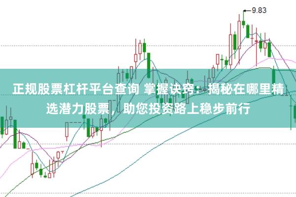 正规股票杠杆平台查询 掌握诀窍：揭秘在哪里精选潜力股票，助您投资路上稳步前行