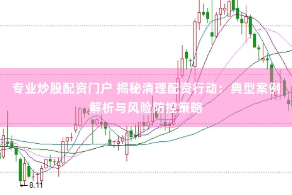 专业炒股配资门户 揭秘清理配资行动：典型案例解析与风险防控策略