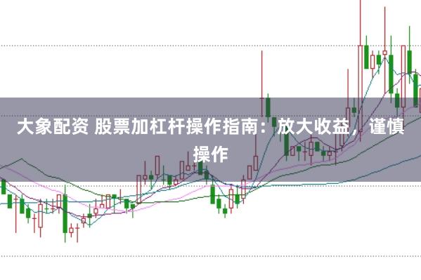 大象配资 股票加杠杆操作指南：放大收益，谨慎操作