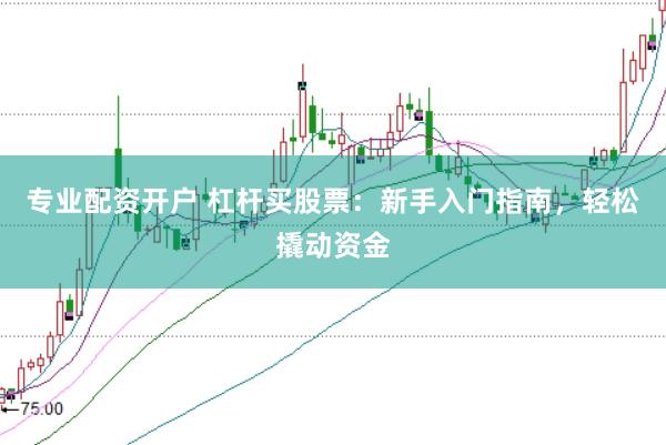 专业配资开户 杠杆买股票：新手入门指南，轻松撬动资金