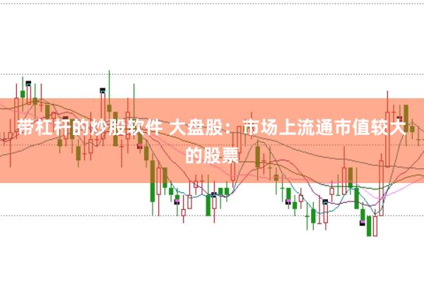 带杠杆的炒股软件 大盘股：市场上流通市值较大的股票