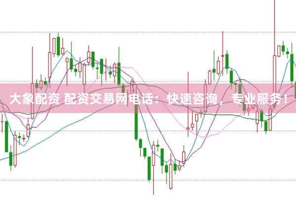 大象配资 配资交易网电话：快速咨询，专业服务！
