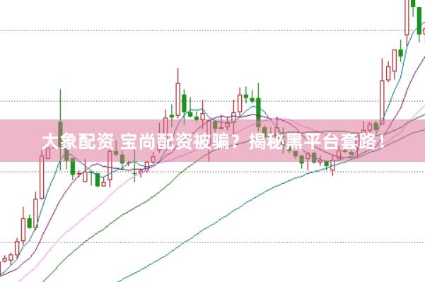 大象配资 宝尚配资被骗？揭秘黑平台套路！