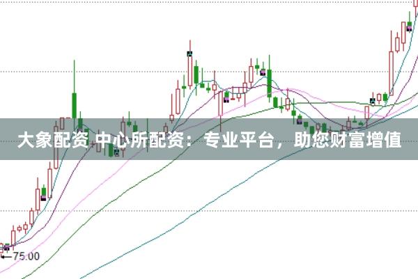 大象配资 中心所配资：专业平台，助您财富增值