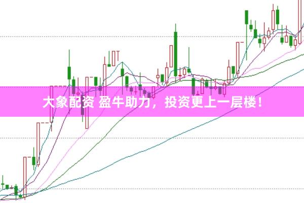 大象配资 盈牛助力，投资更上一层楼！