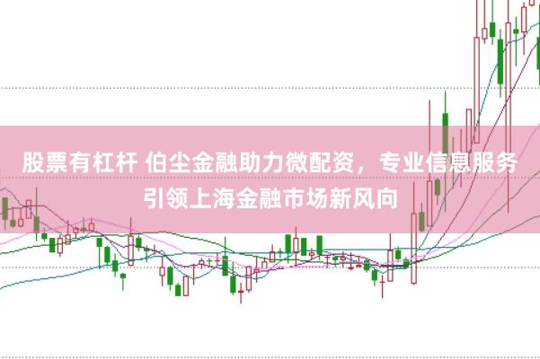 股票有杠杆 伯尘金融助力微配资，专业信息服务引领上海金融市场新风向