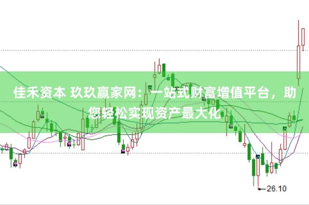 佳禾资本 玖玖赢家网：一站式财富增值平台，助您轻松实现资产最大化