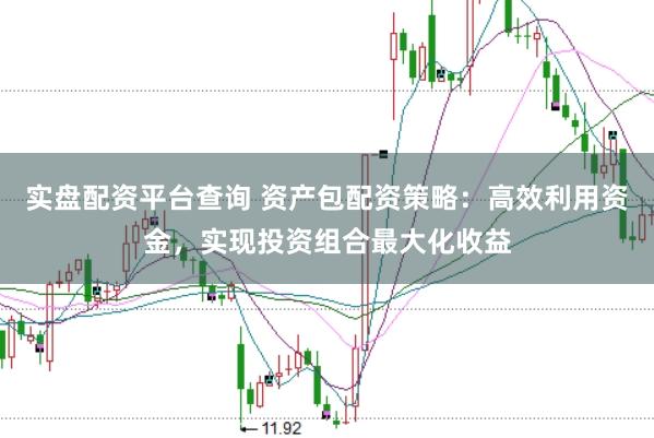 实盘配资平台查询 资产包配资策略：高效利用资金，实现投资组合最大化收益