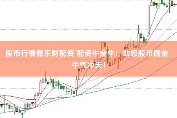 股市行情鑫东财配资 配资牛金牛：助您股市掘金，牛气冲天！