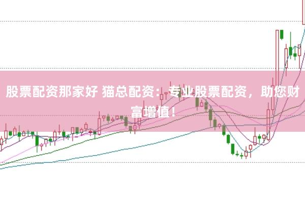 股票配资那家好 猫总配资：专业股票配资，助您财富增值！