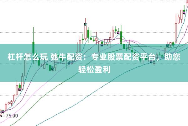 杠杆怎么玩 弛牛配资：专业股票配资平台，助您轻松盈利