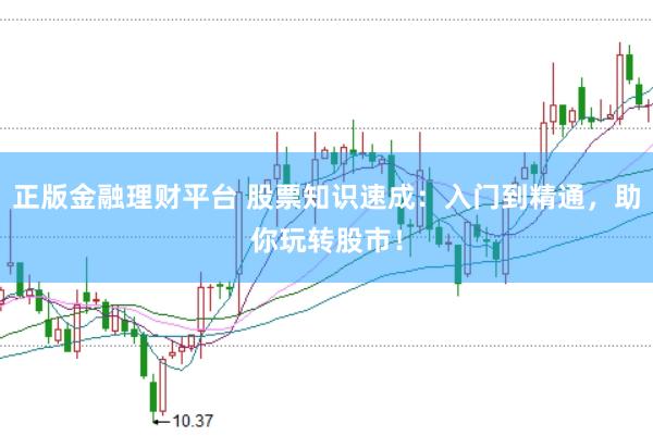 正版金融理财平台 股票知识速成：入门到精通，助你玩转股市！