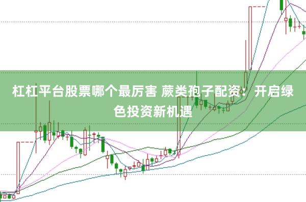 杠杠平台股票哪个最厉害 蕨类孢子配资：开启绿色投资新机遇