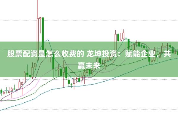 股票配资是怎么收费的 龙坤投资：赋能企业，共赢未来