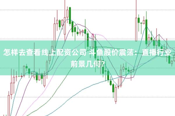 怎样去查看线上配资公司 斗鱼股价震荡：直播行业前景几何？