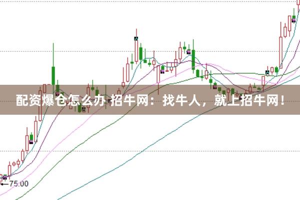 配资爆仓怎么办 招牛网：找牛人，就上招牛网！