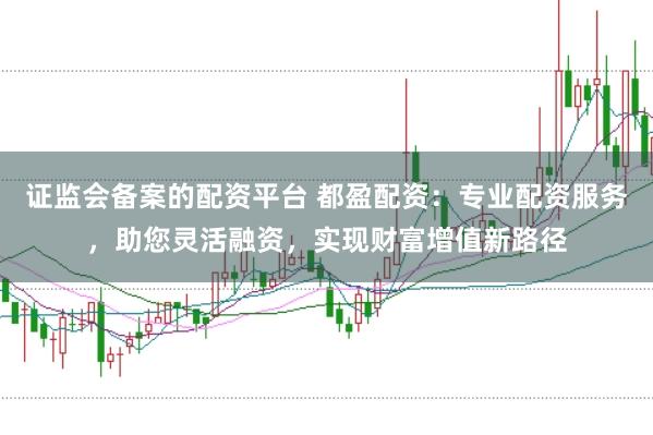 证监会备案的配资平台 都盈配资：专业配资服务，助您灵活融资，实现财富增值新路径