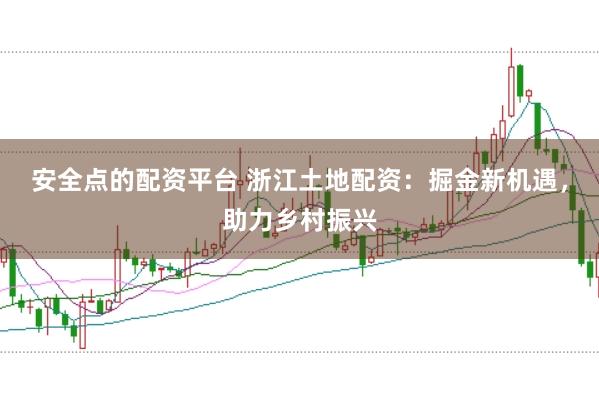 安全点的配资平台 浙江土地配资：掘金新机遇，助力乡村振兴