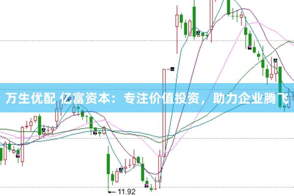 万生优配 亿富资本：专注价值投资，助力企业腾飞