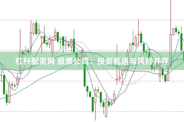 杠杆配资网 股票公司：投资机遇与风险并存