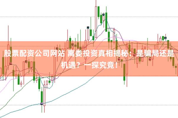 股票配资公司网站 离娄投资真相揭秘：是骗局还是机遇？一探究竟！