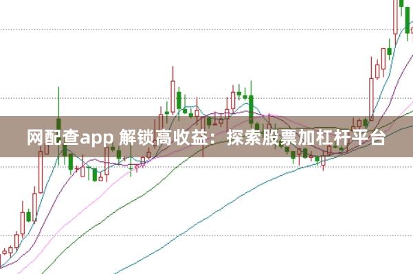 网配查app 解锁高收益:探索股票加杠杆平台
