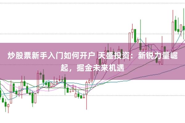 炒股票新手入门如何开户 天盛投资:新锐力量崛起,掘金未来机遇