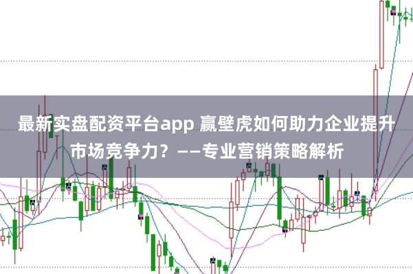 最新实盘配资平台app 赢壁虎如何助力企业提升市场竞争力？——专业营销策略解析