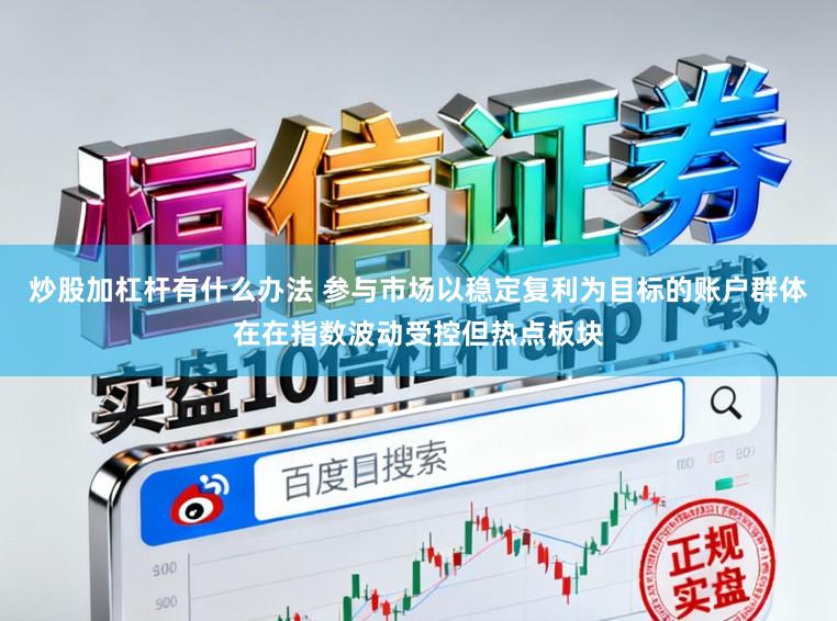 炒股加杠杆有什么办法 参与市场以稳定复利为目标的账户群体在在指数波动受控但热点板块