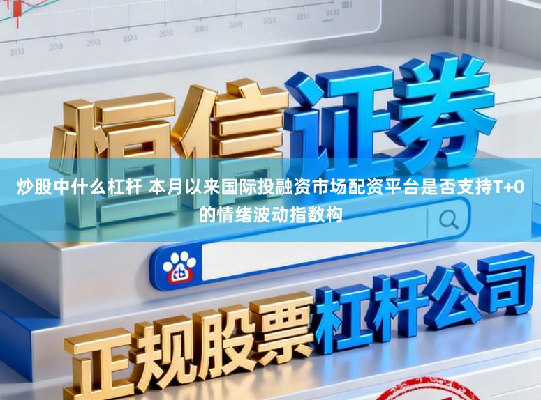 炒股中什么杠杆 本月以来国际投融资市场配资平台是否支持T+0的情绪波动指数构