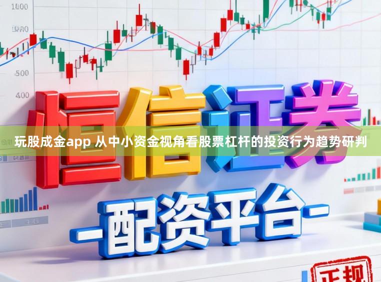 玩股成金app 从中小资金视角看股票杠杆的投资行为趋势研判